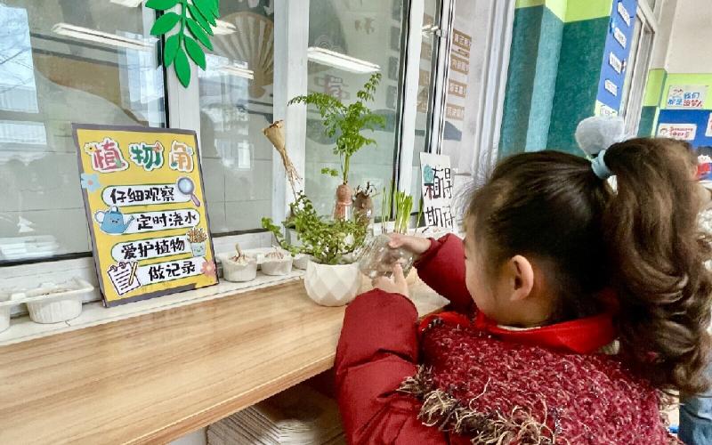 17爱绿护绿在行动.jpg 17爱绿护绿在行动.jpg